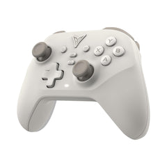 FLYDIGI DuneFox 2.4g Wireless PC Controller